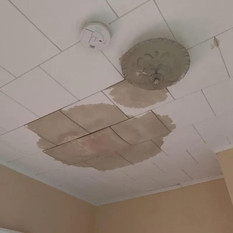Ceiling Water Damage Repair in Mobile County, AL
