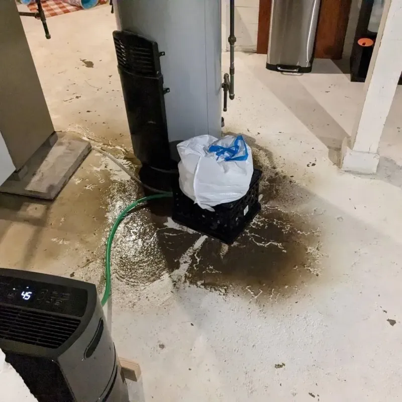 Sewage Backup Cleanup Service in Mobile County, AL